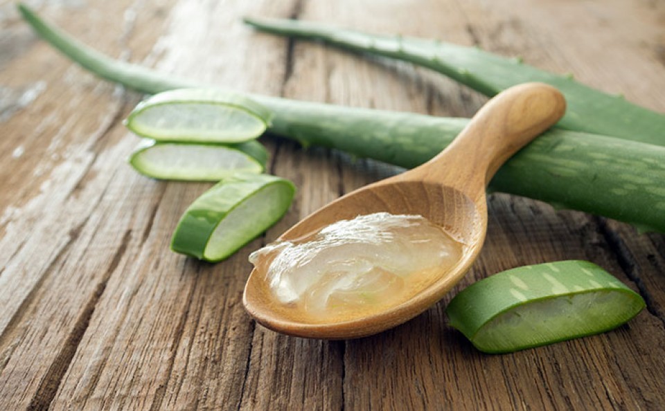 Les bienfaits de l'Aloe vera  pour la santé et la beauté